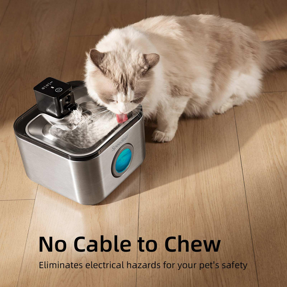 Speedeer fountain cordless setup enables flexible placement with no outlet needed.