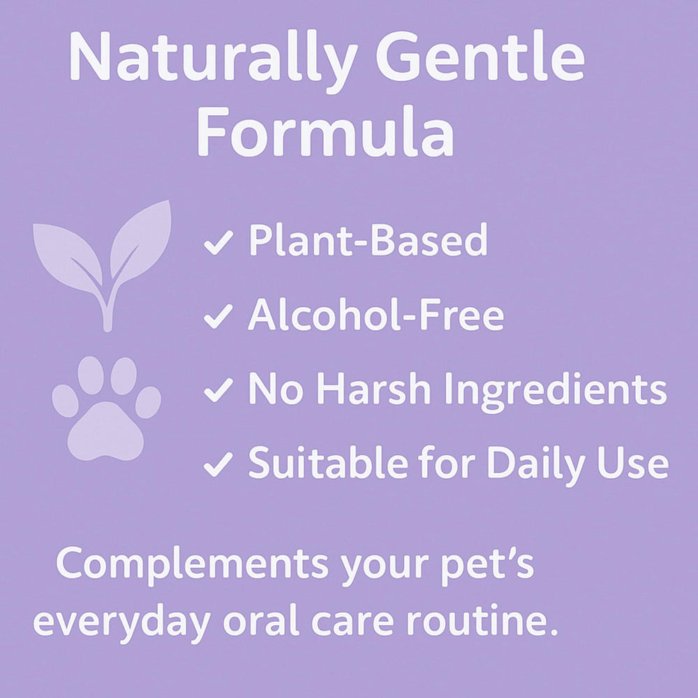 Daily use with SPEORARY Furaqua supports convenient oral care routine.