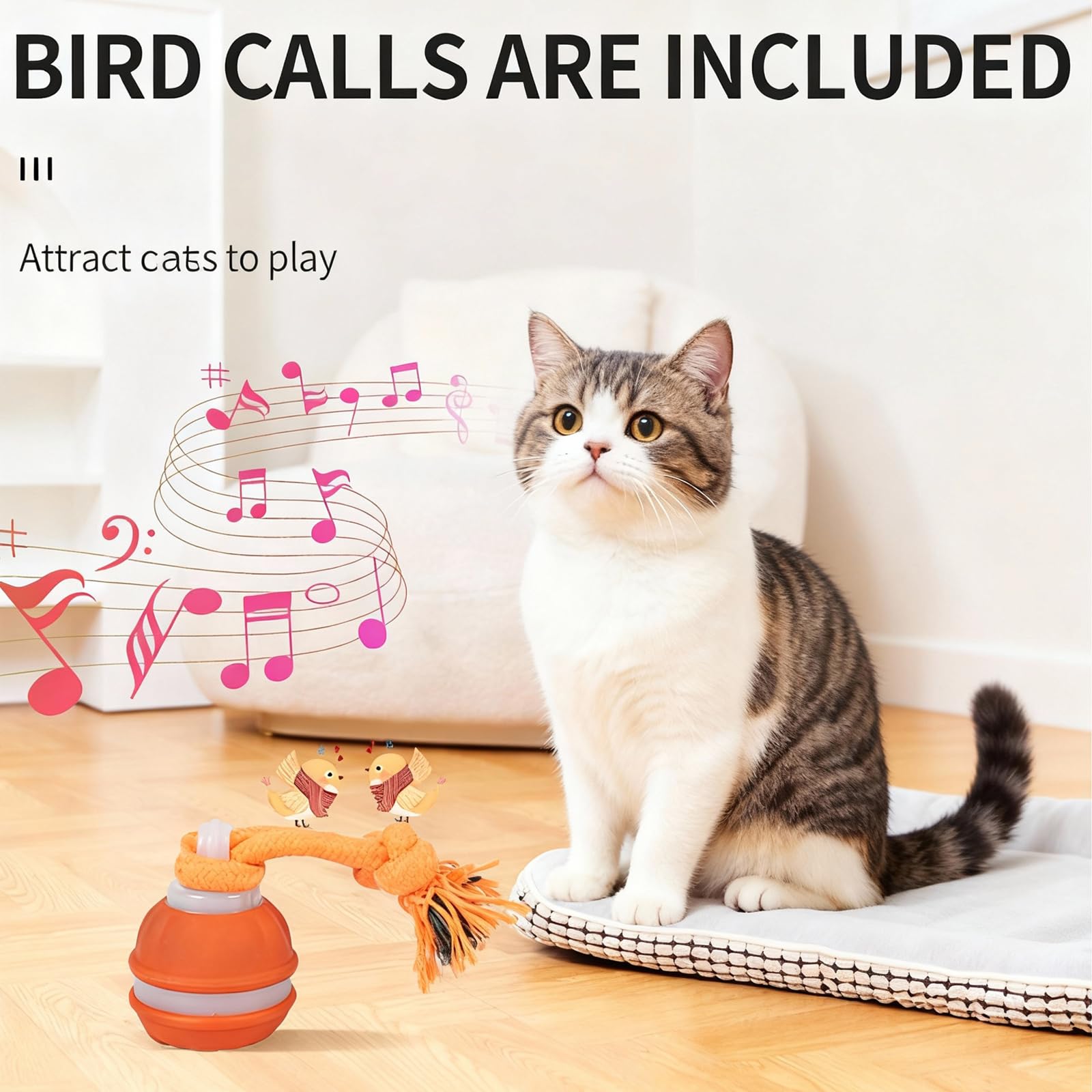 SPGSWCY ball with chirping sounds highlights cat-friendly play and hunting instincts.