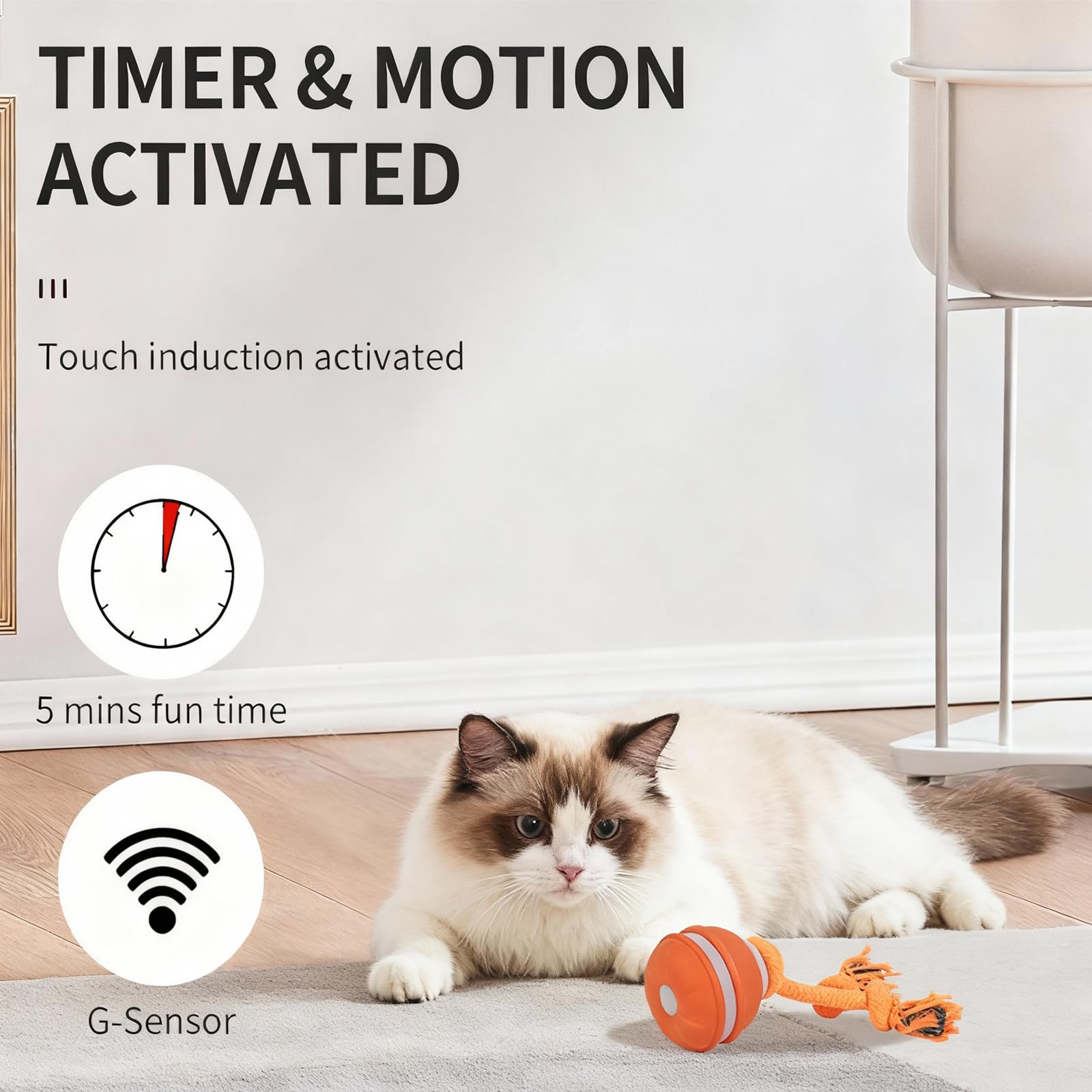 SPGSWCY triple-mode ball supports chase, tease, and smart auto-play for varied energy.