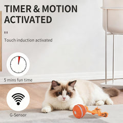 SPGSWCY triple-mode ball supports chase, tease, and smart auto-play for varied energy.