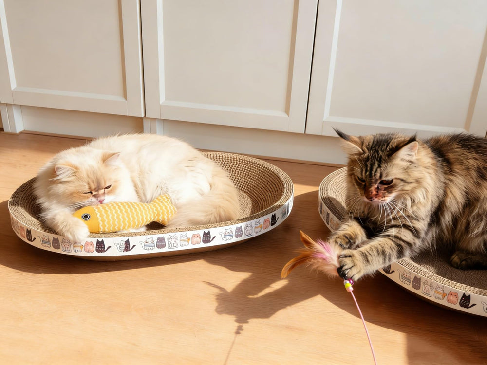 Spindro catnip-fish-toy inside scratcher enhances enrichment