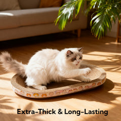 Spindro large cardboard scratcher shows sturdy design for indoor cats.