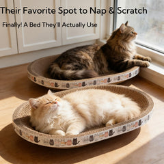 Spindro oval-cardboard-scratcher top-view for spacious play at home