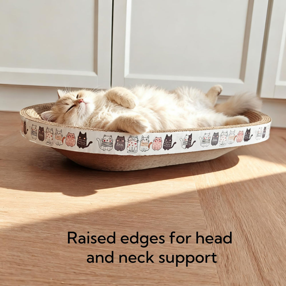 Spindro scratcher with elevated rim ideal for secure lounging