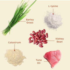 Licorice root and zinc blend emphasizing skin barrier nourishment