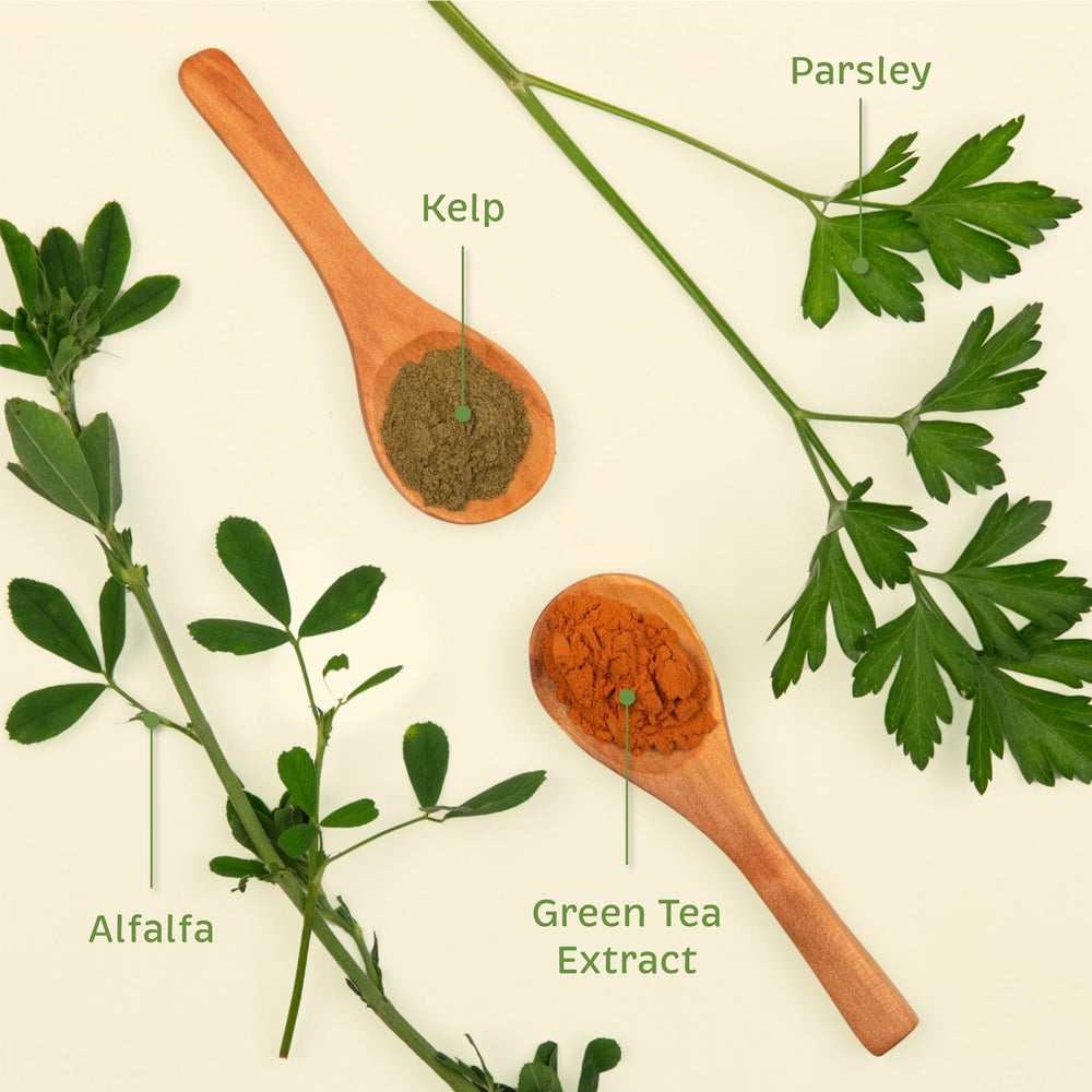Parsley flakes close-up signaling natural breath freshening benefits for pets.