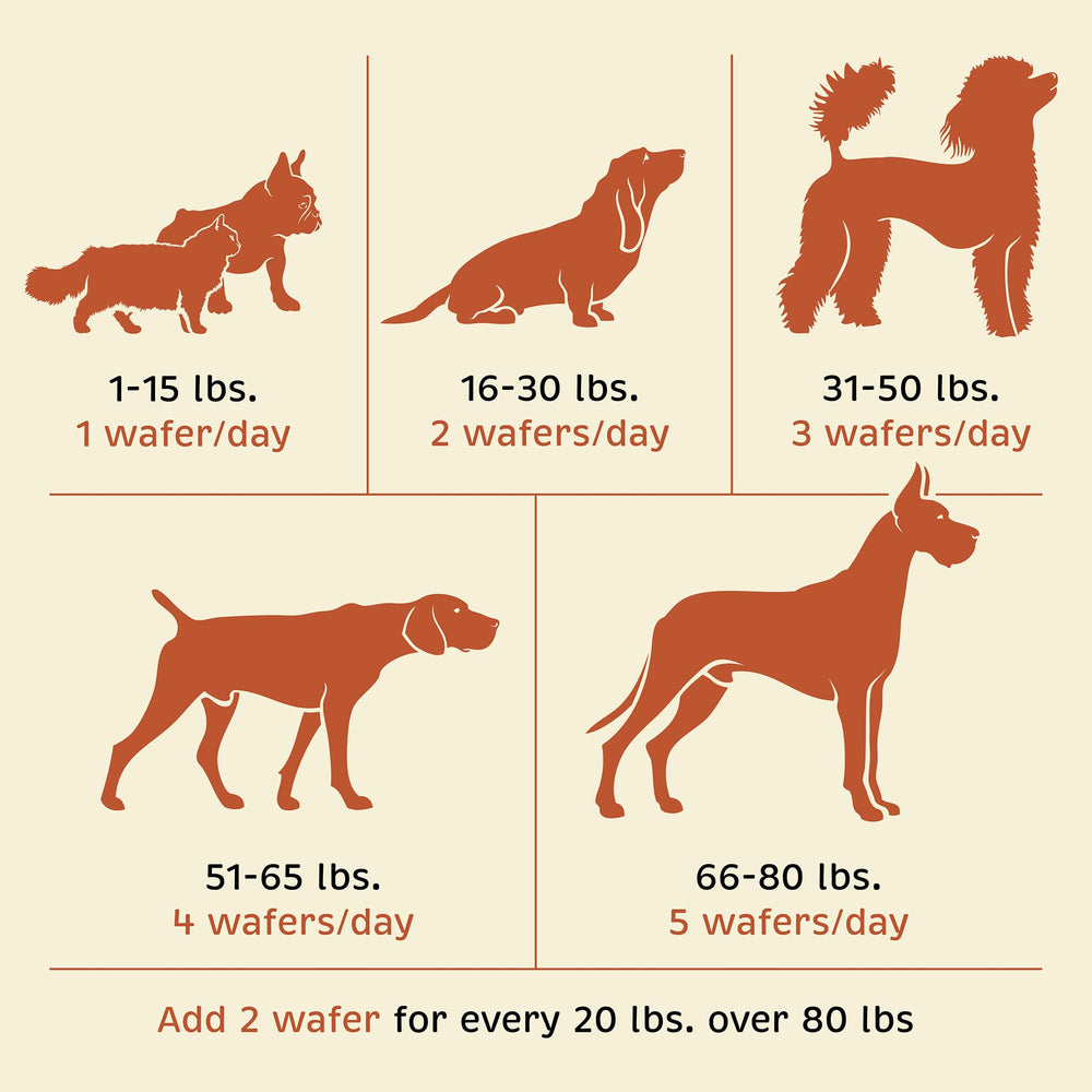 Tuna oil in Spirited Paw for daily omega fatty acid support