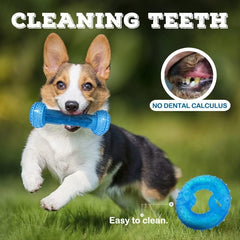 SPOFLY dental cleaning surface helps reduce plaque on puppies