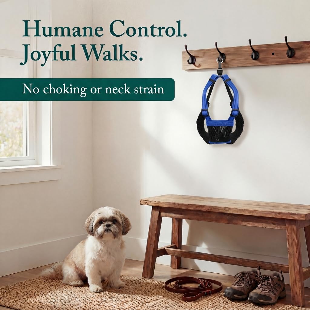 Sporn harness features padded restraint sleeves for reduced rubbing on small dogs.