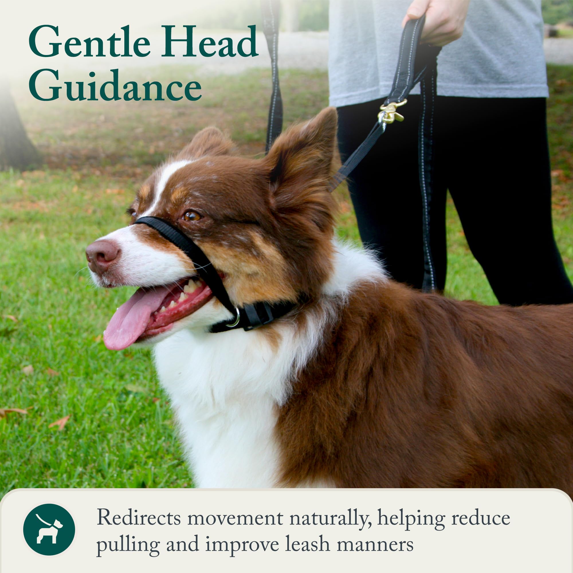 Sporn head halter uses breathable nylon construction for durable daily use.