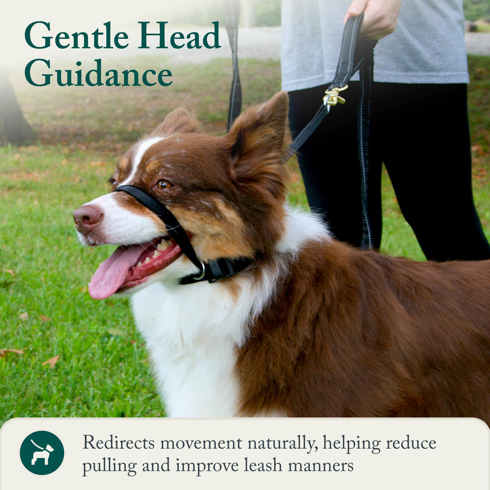 Sporn head halter uses breathable nylon construction for durable daily use.