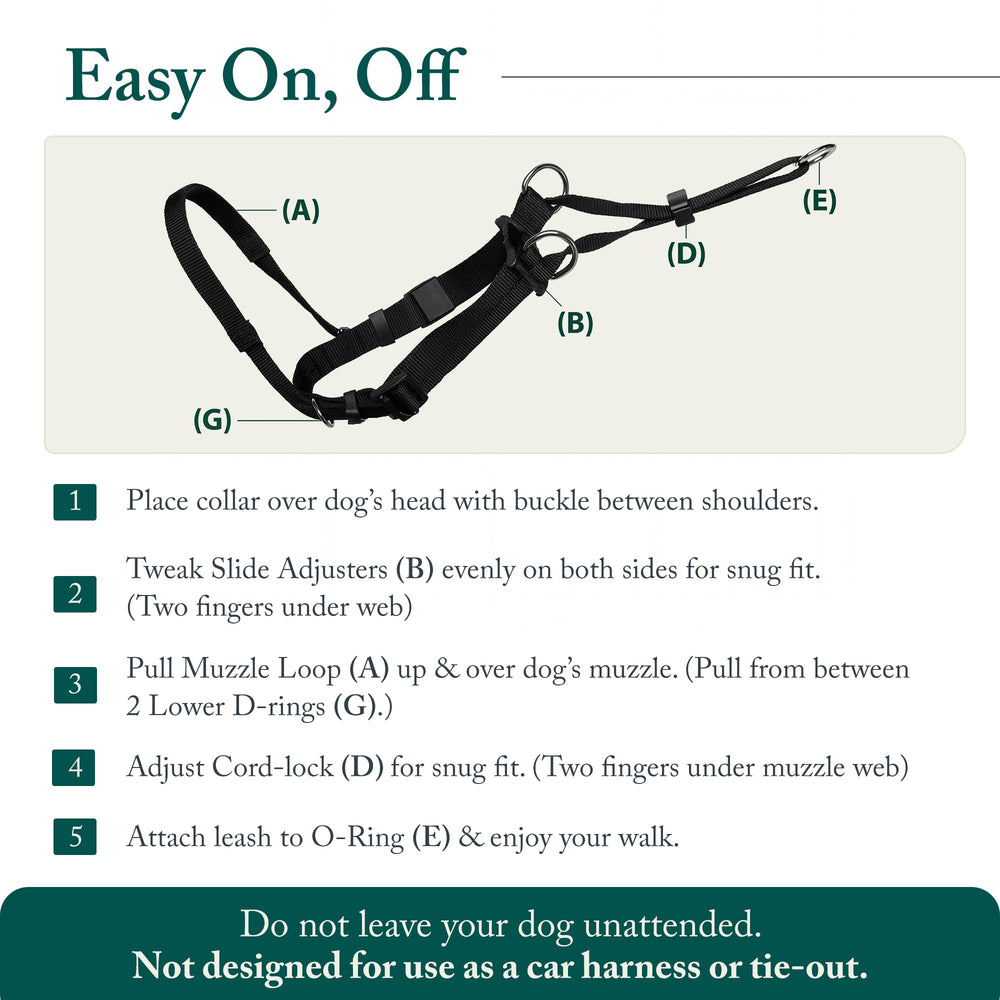 Sporn head halter offers easy on/off with quick leash attachment.