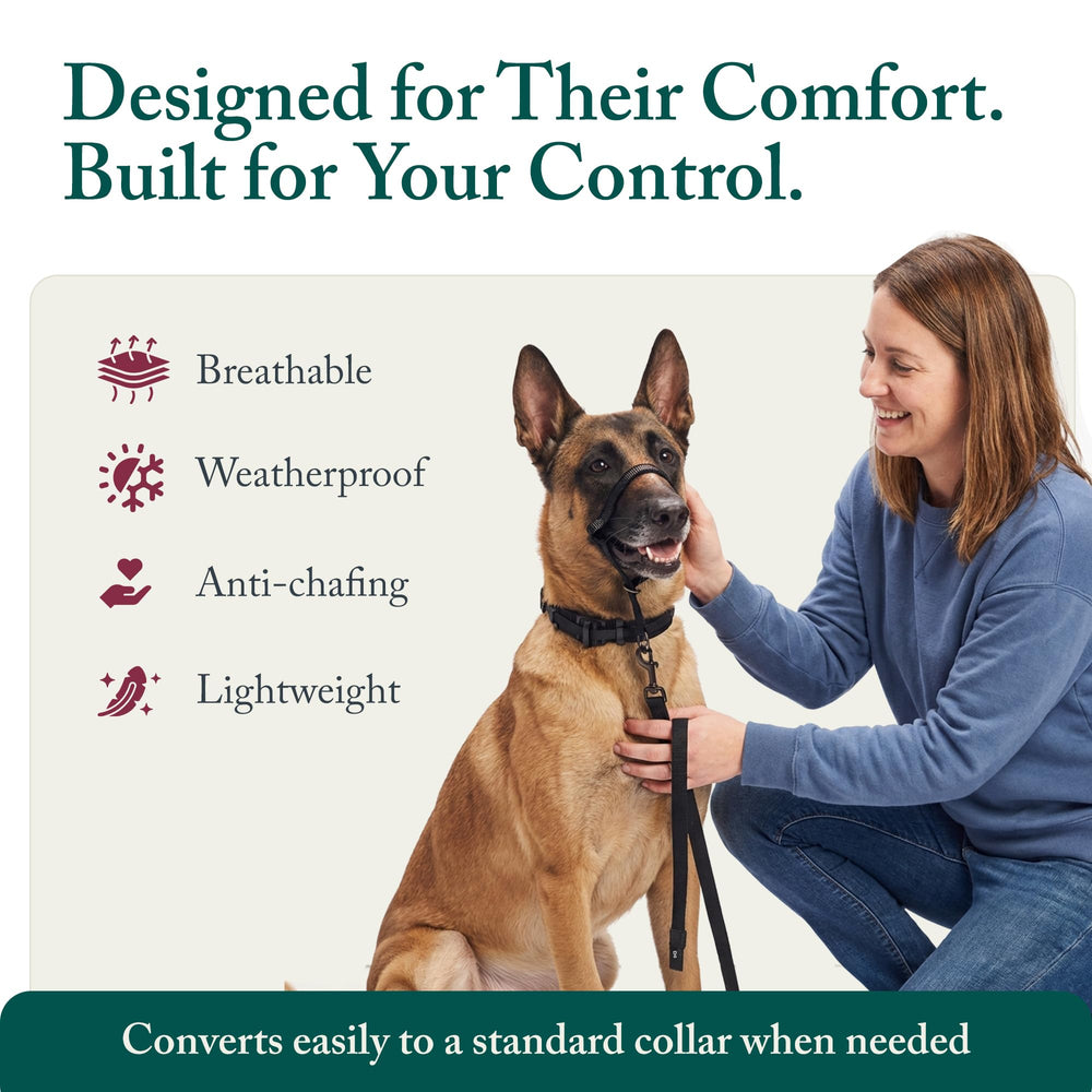 Sporn head halter fits large dogs with 16–24 inch necks.