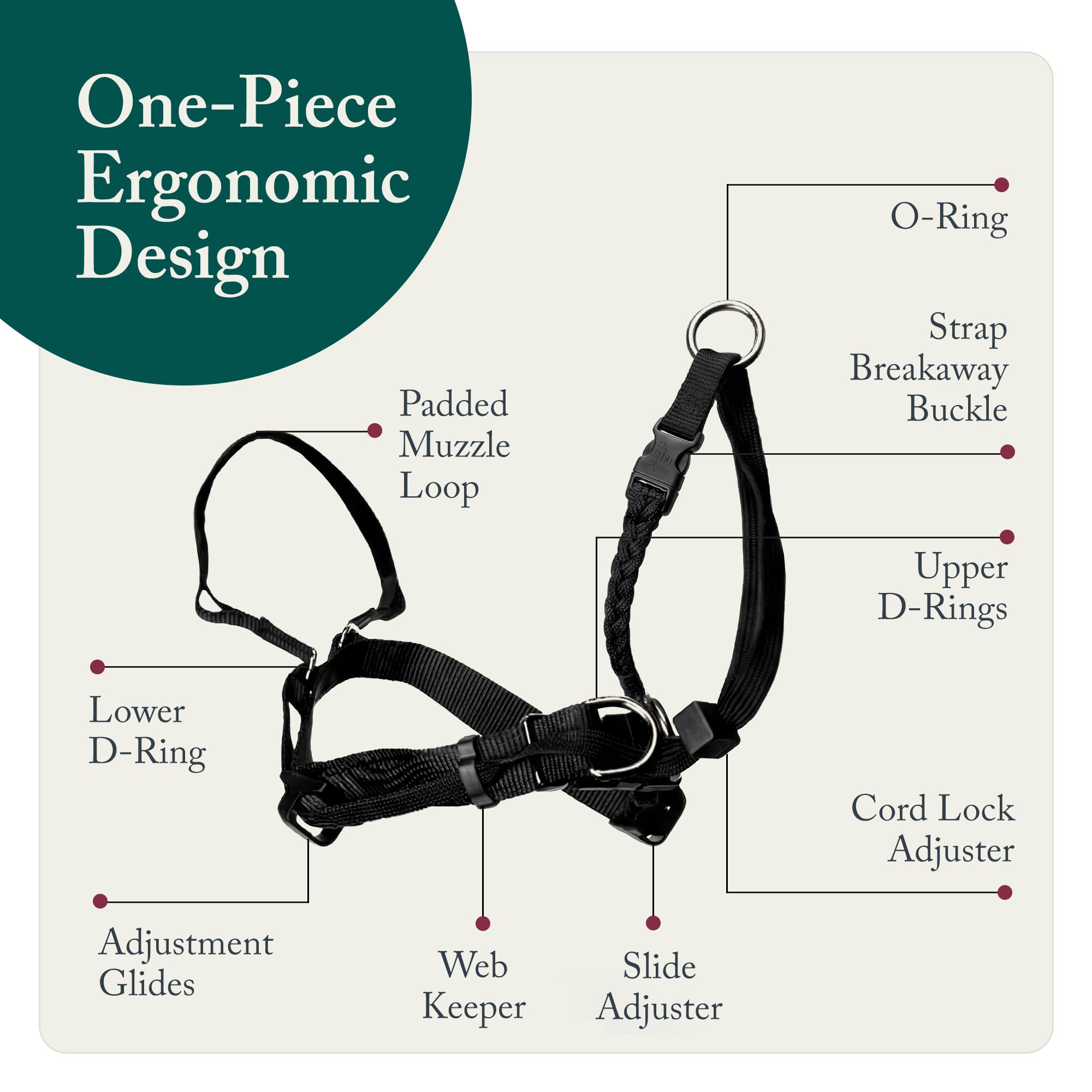 Sporn head halter's no-choke design protects neck during pulls.