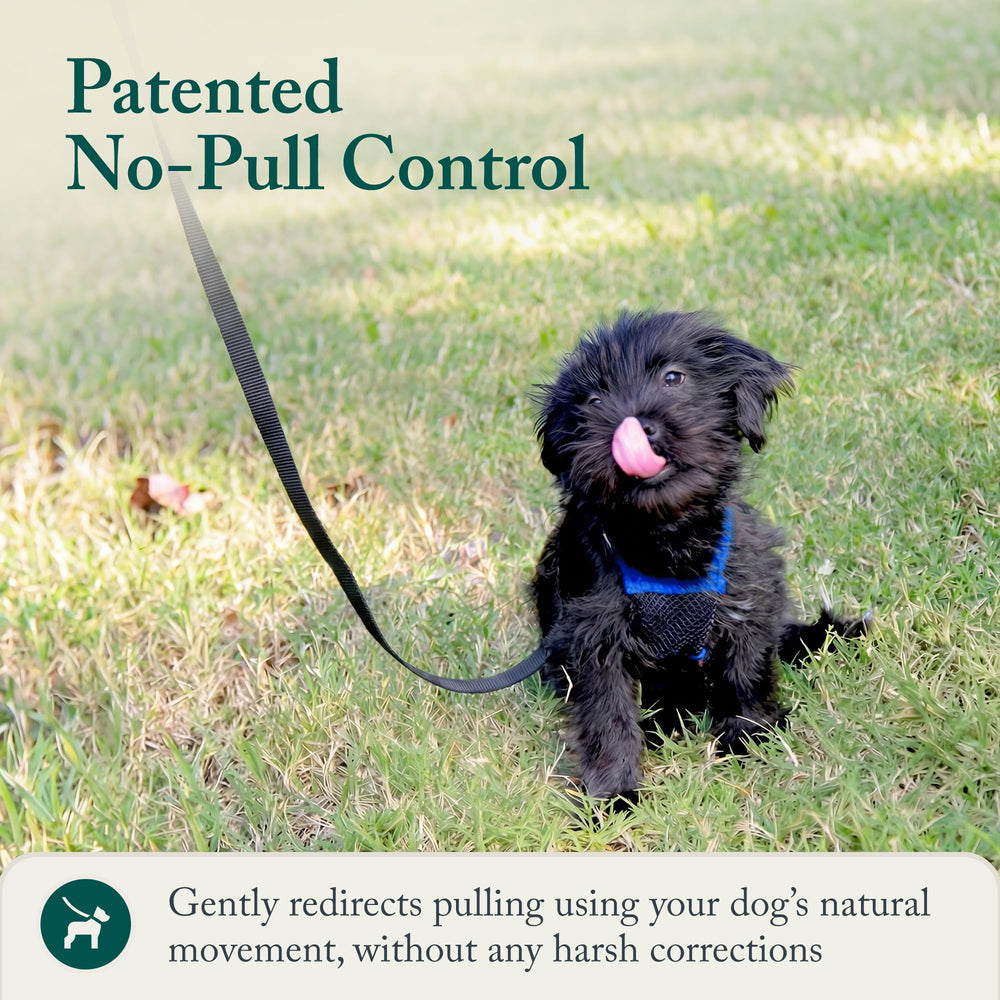 Sporn sturdy metal D-ring leash attachment for secure walks.