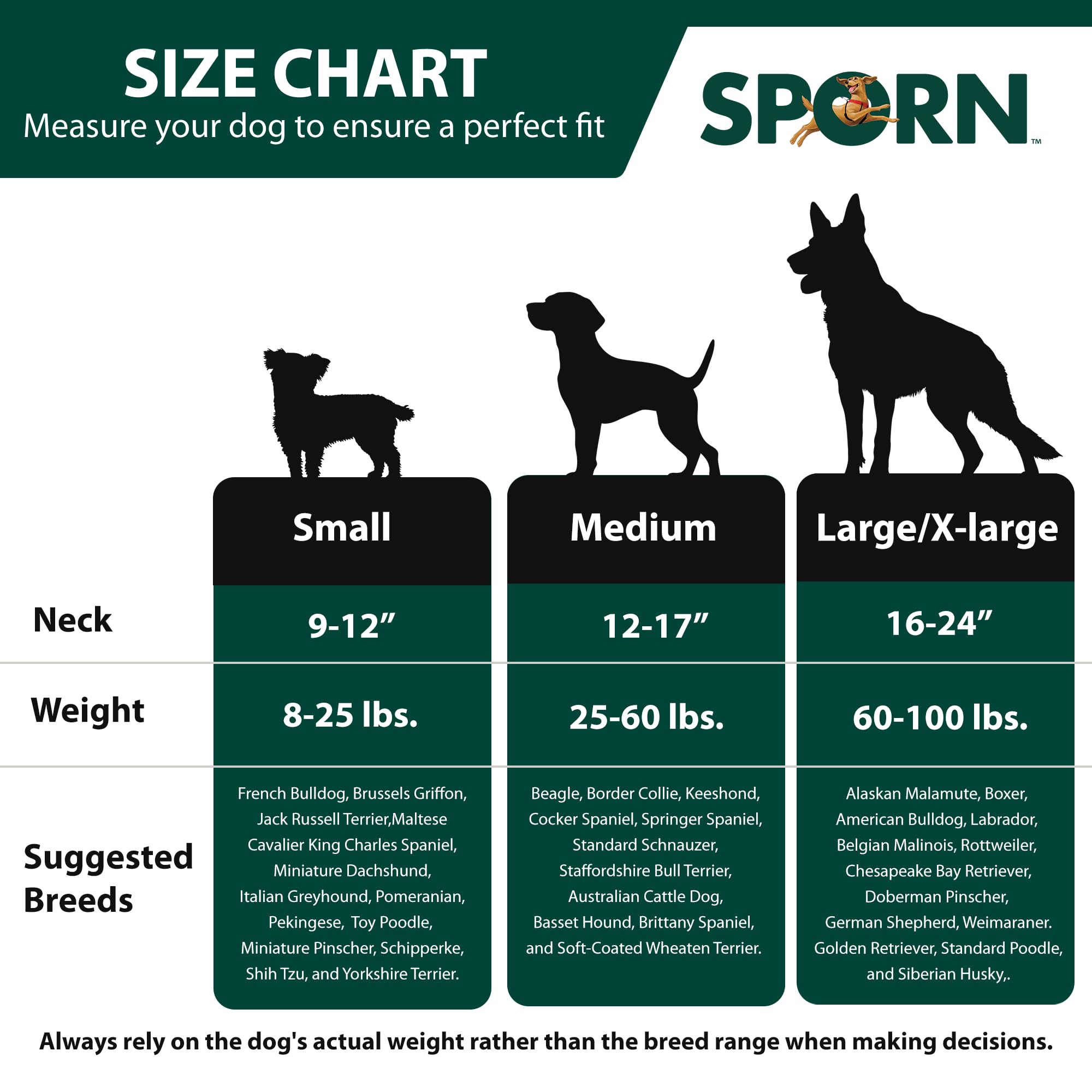 Sporn No Pull Harness D-ring and buckles for reliable leash attachment.