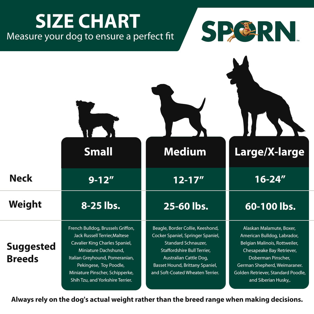 Sporn No Pull Harness D-ring and buckles for reliable leash attachment.
