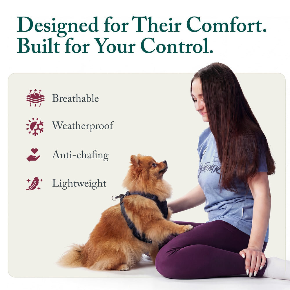 Sporn No Pull Harness easy on-off design simplifies putting on.