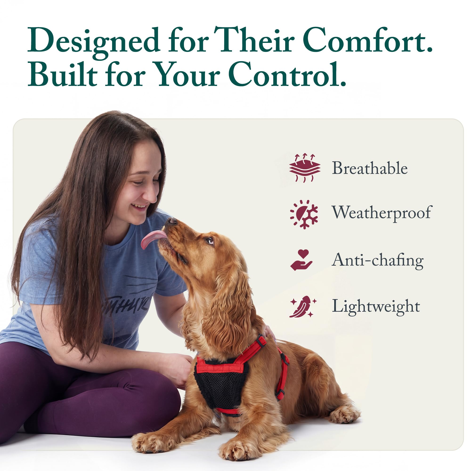 Sporn No Pull Harness fits medium dogs 25-60 lbs with adjustable snug fit.