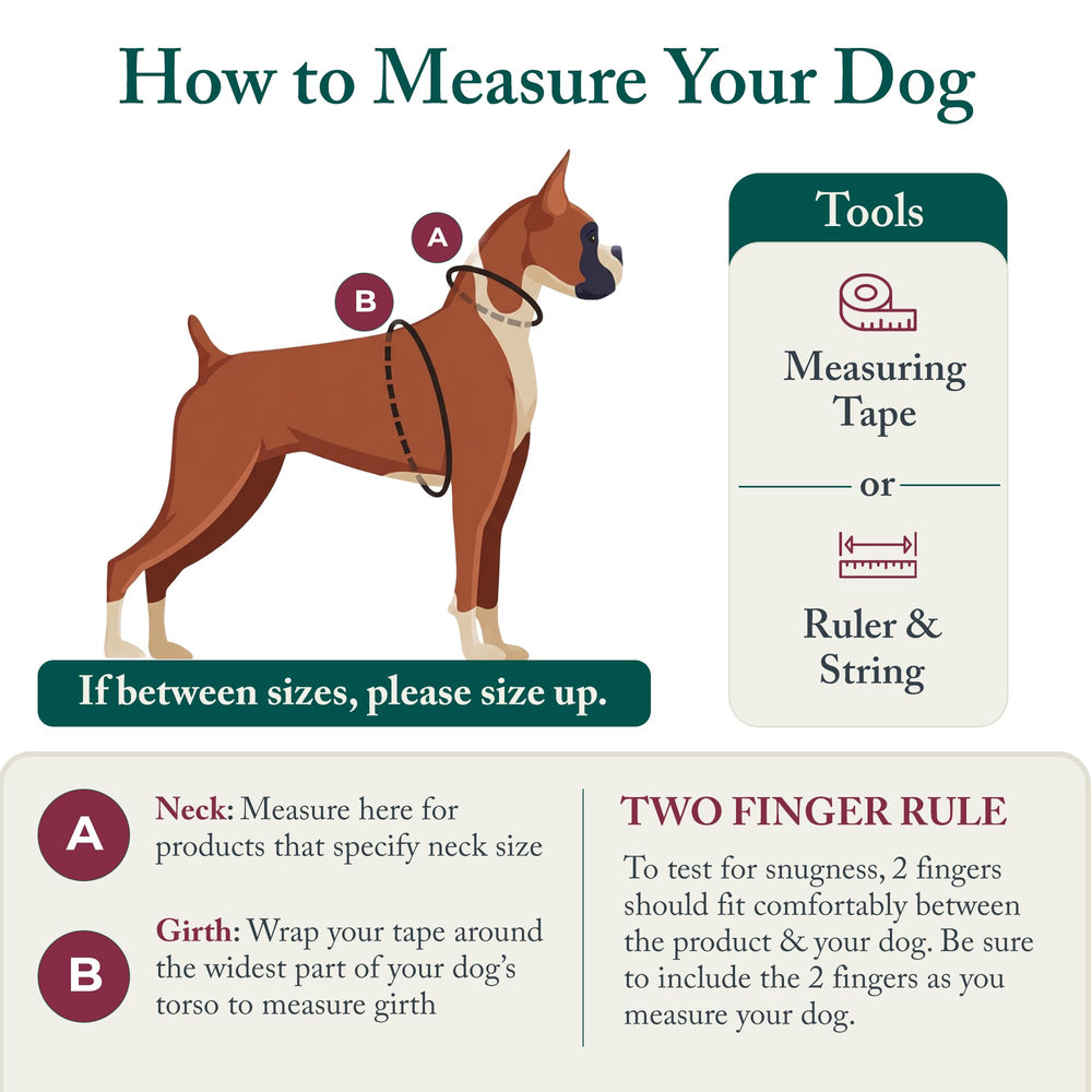 Sporn No Pull Harness padded sleeves reduce rubbing under front legs.