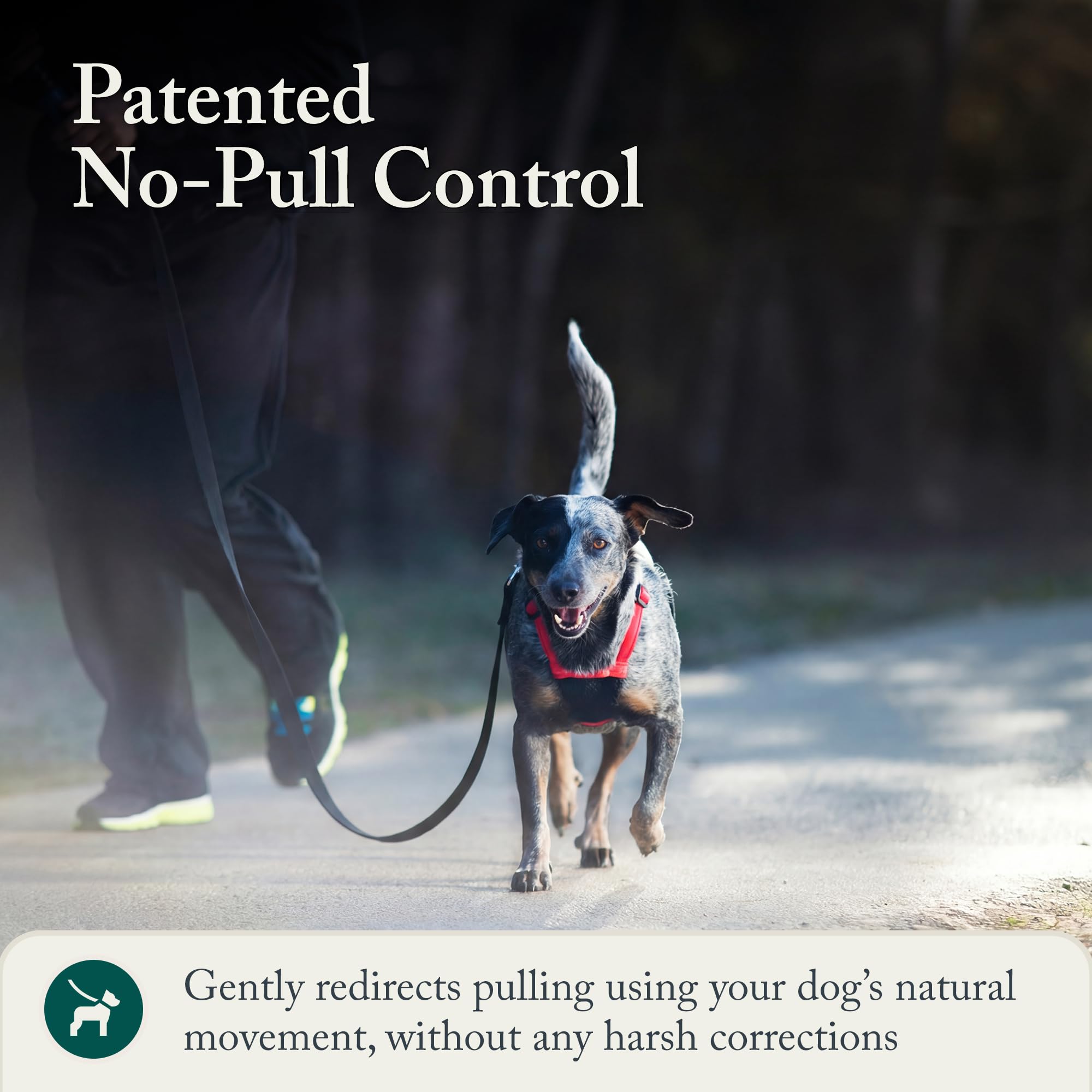 Sporn No Pull Harness weatherproof nylon for durable outdoor use.