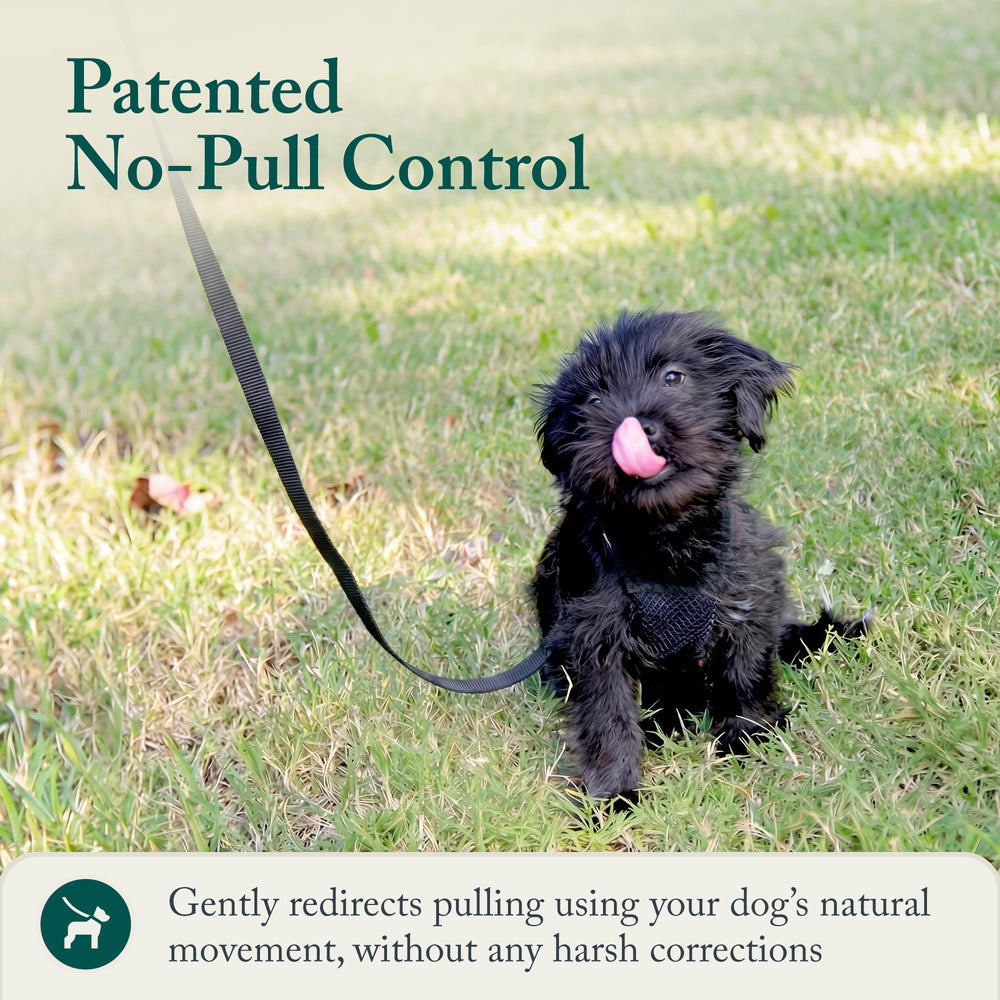 Sporn No Pull Harness weatherproof nylon withstands daily outdoor use.