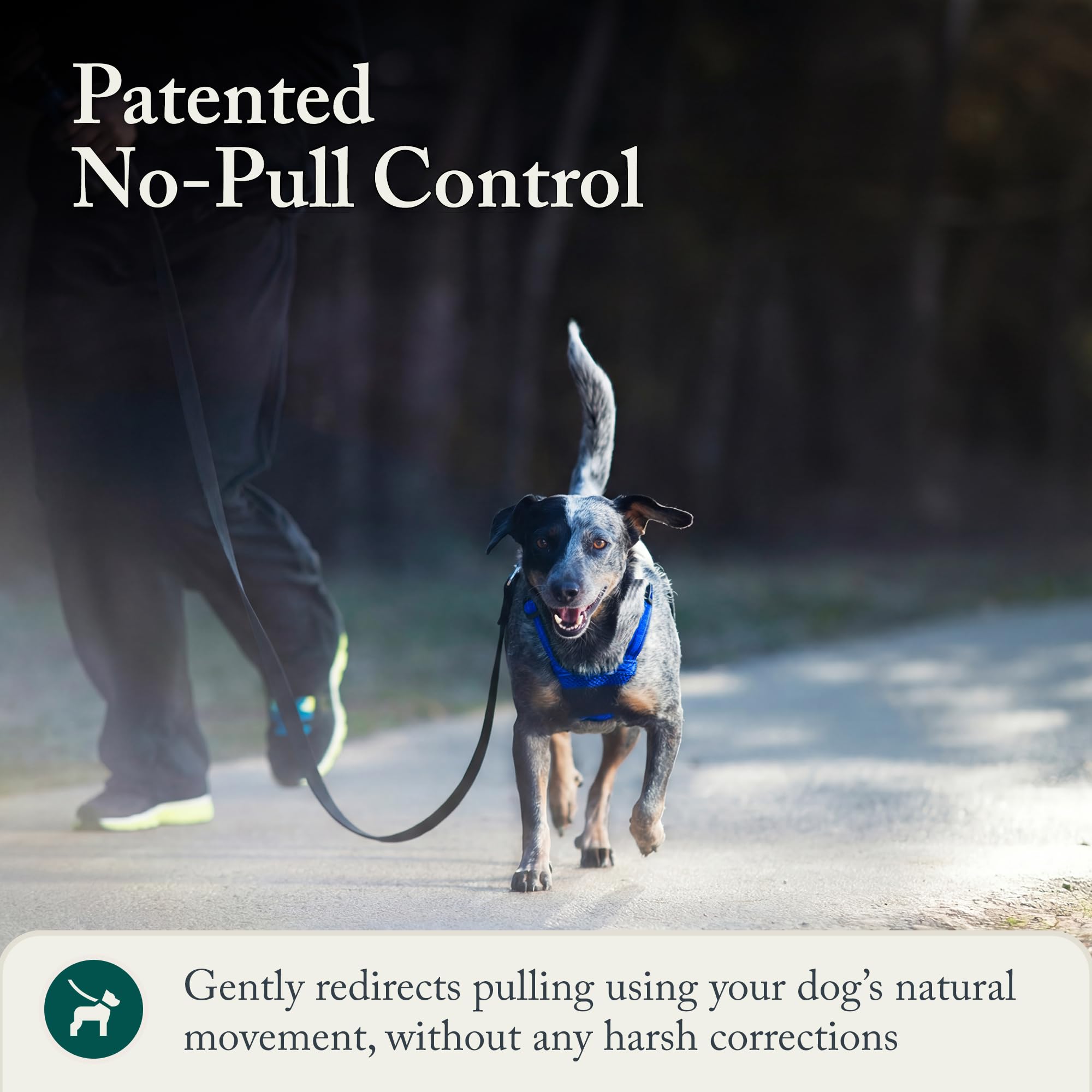 Sporn No Pull Harness adjustable fit provides secure wear for medium breeds.