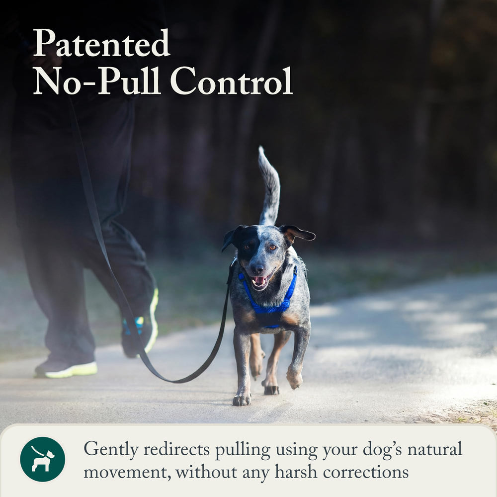 Sporn No Pull Harness adjustable fit provides secure wear for medium breeds.