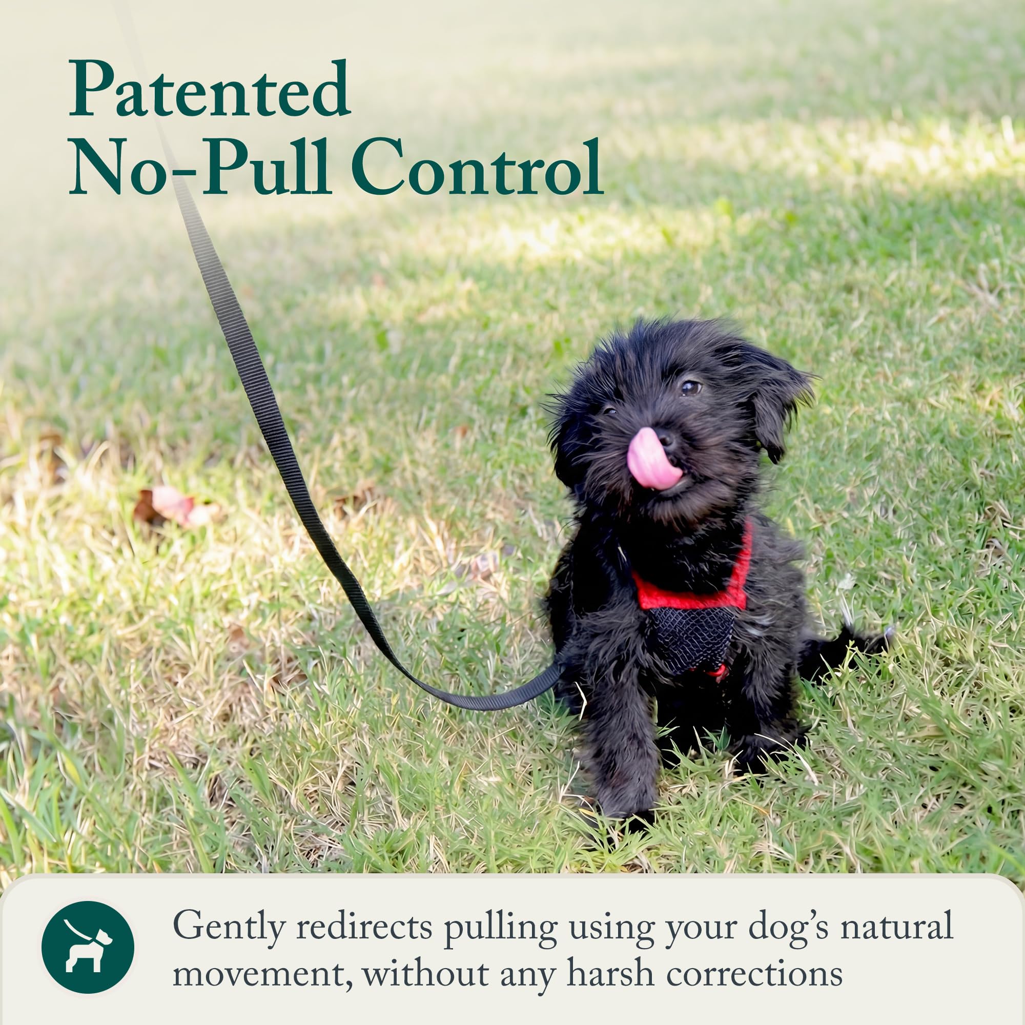 Sporn No Pull D-ring attachment for reliable leash connection.