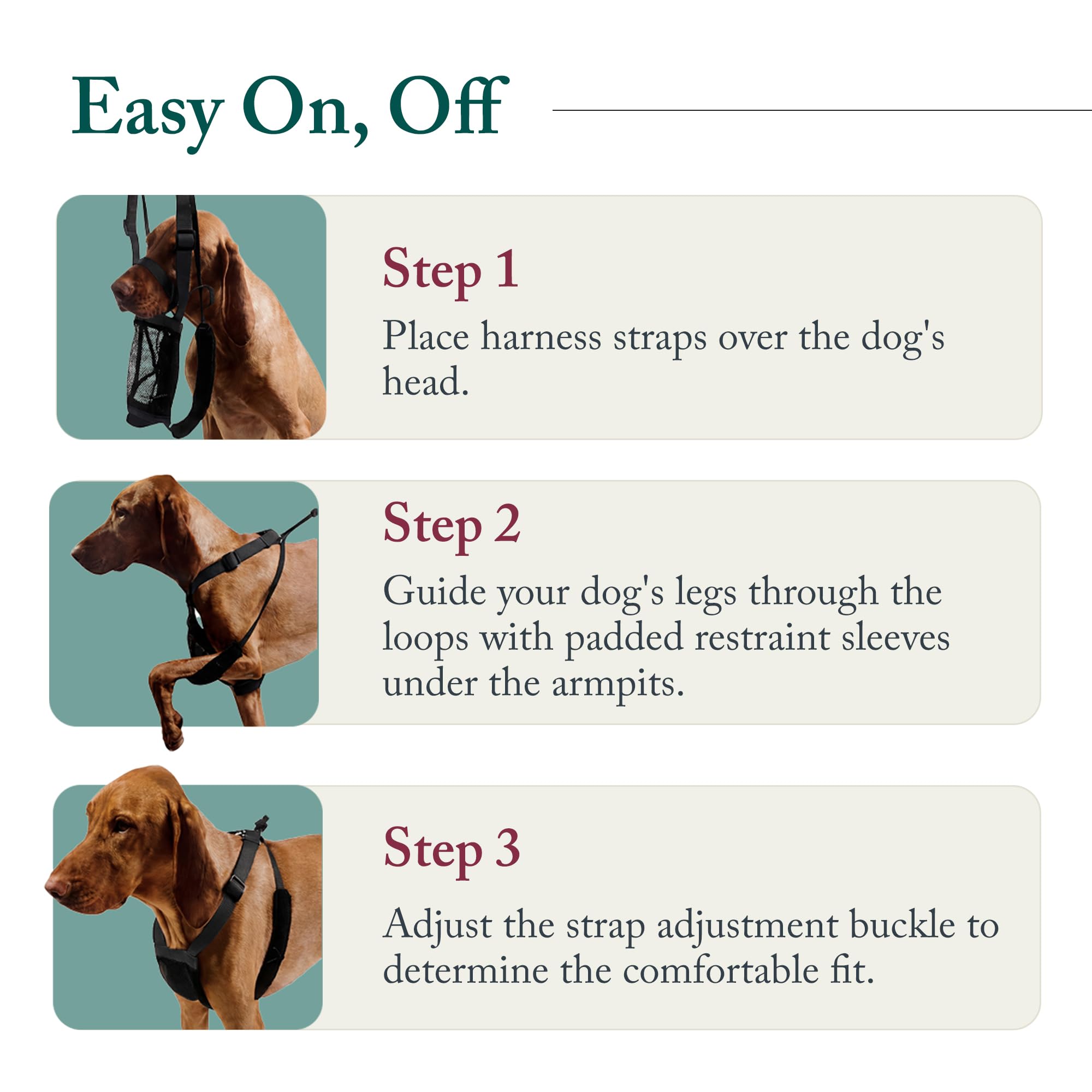 Sporn No Pull Harness with sturdy D-ring for reliable leash attachment.