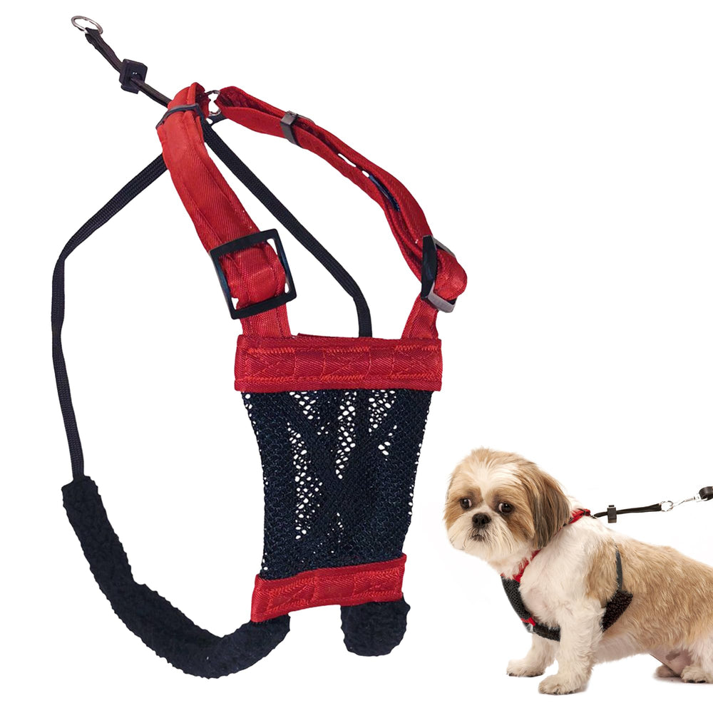 Sporn No Pull harness front view showing secure fit for small dogs.