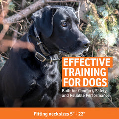 SportDOG 3/4-inch collar strap adjustment holes display adjustable fit from 5 to 22 inches.