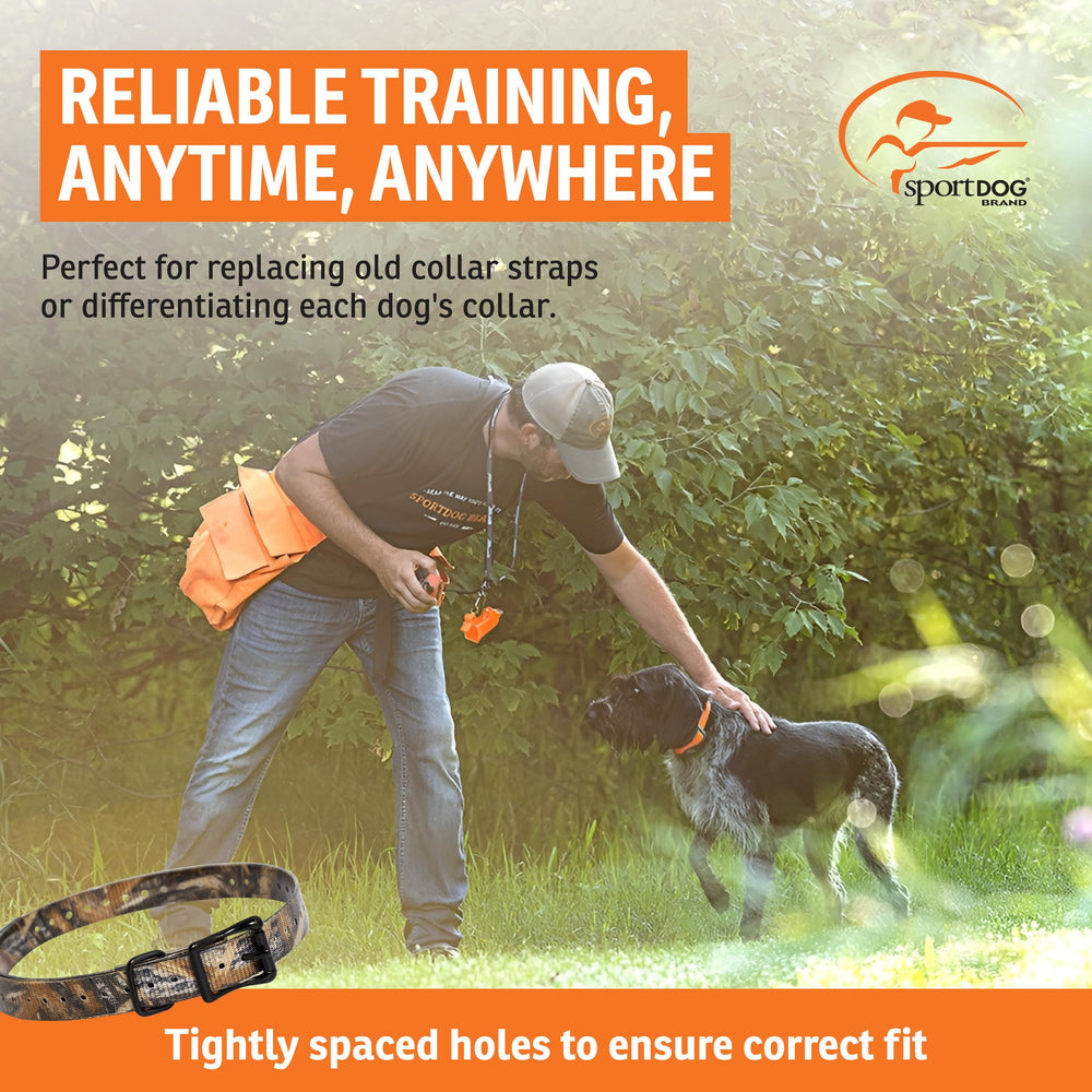 SportDOG collar strap buckle close-up demonstrating secure metal roller buckle for reliable fit.