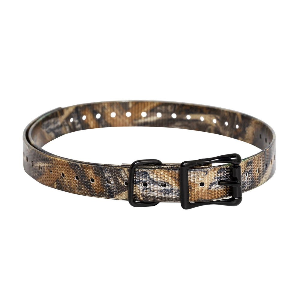 SportDOG 3/4-inch collar strap close-up highlighting durable waterproof material for rugged field use.