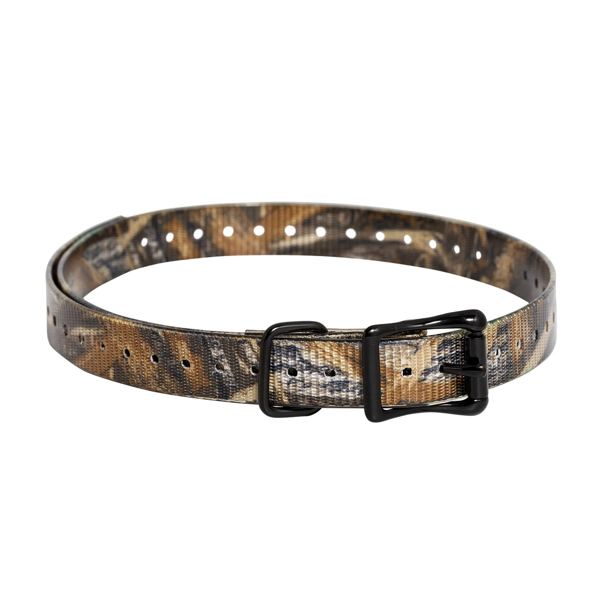 SportDOG 3/4-inch collar strap close-up highlighting durable waterproof material for rugged field use.