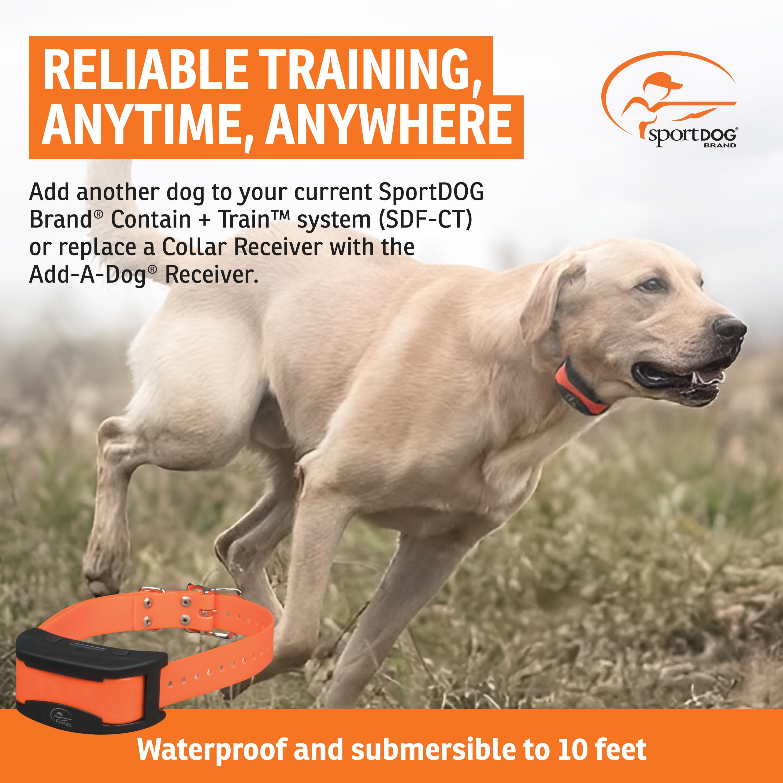SportDOG collar receiver connected to Contain + Train, fence, and trainer setups