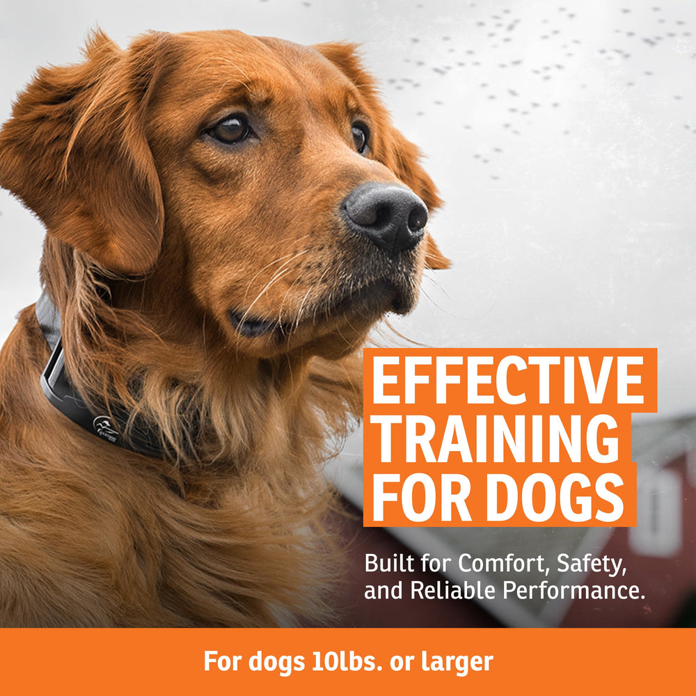 SportDOG rechargeable collar receiver with quick-charge battery visible