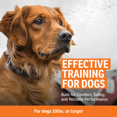 SportDOG rechargeable collar receiver with quick-charge battery visible