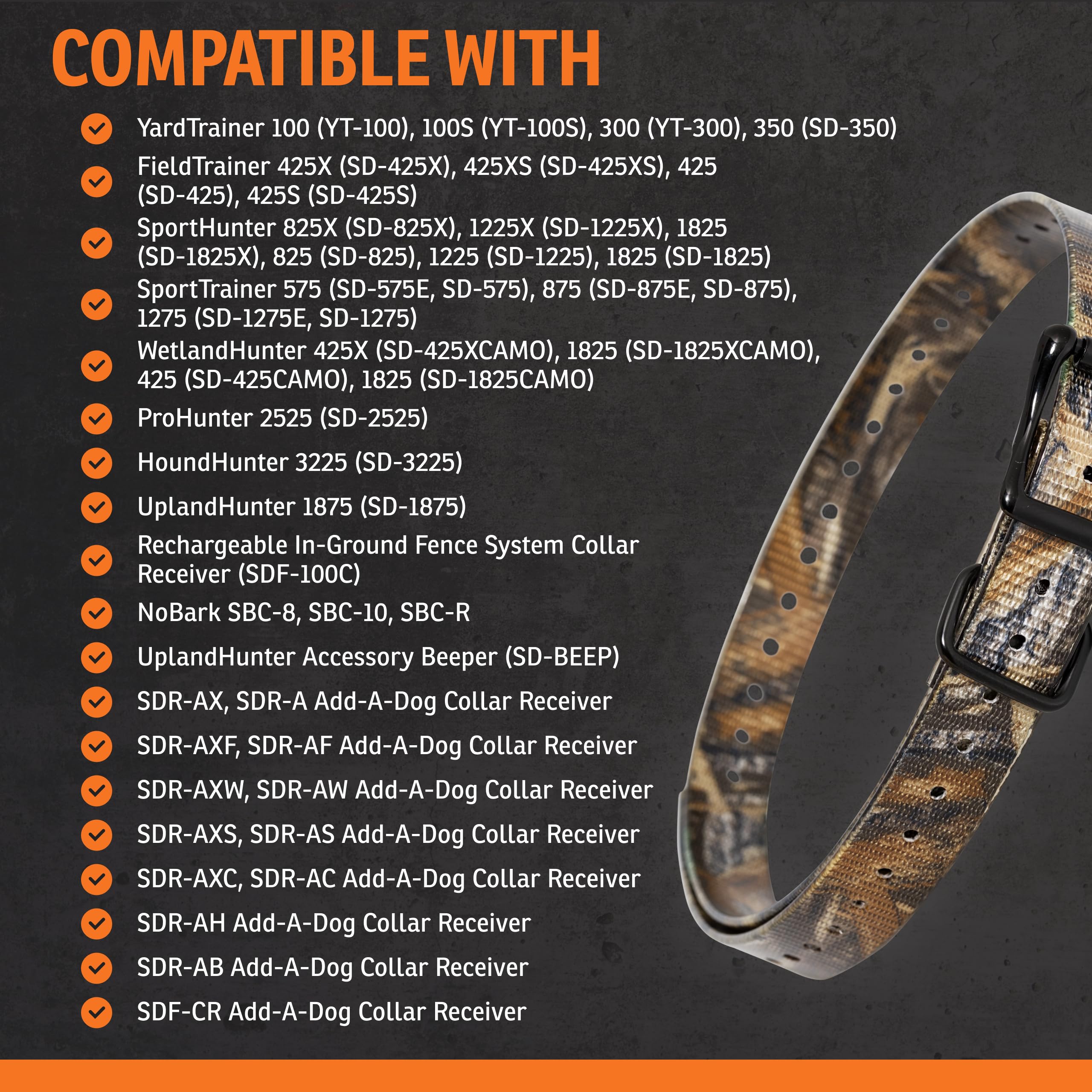 SportDOG collar strap on a dog during outdoor training and hunting.