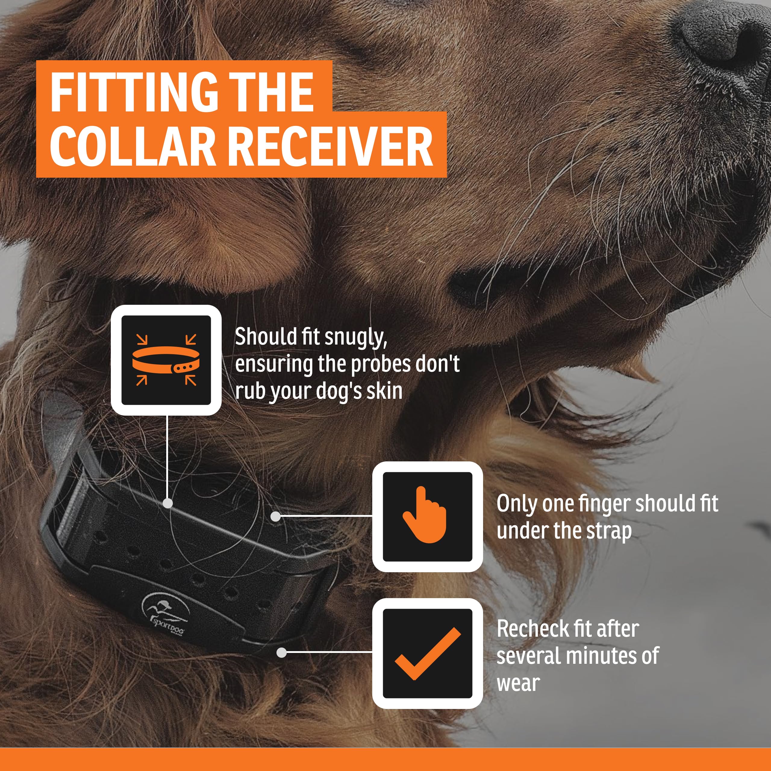 SportDOG collar showing tone and vibration options for signaling