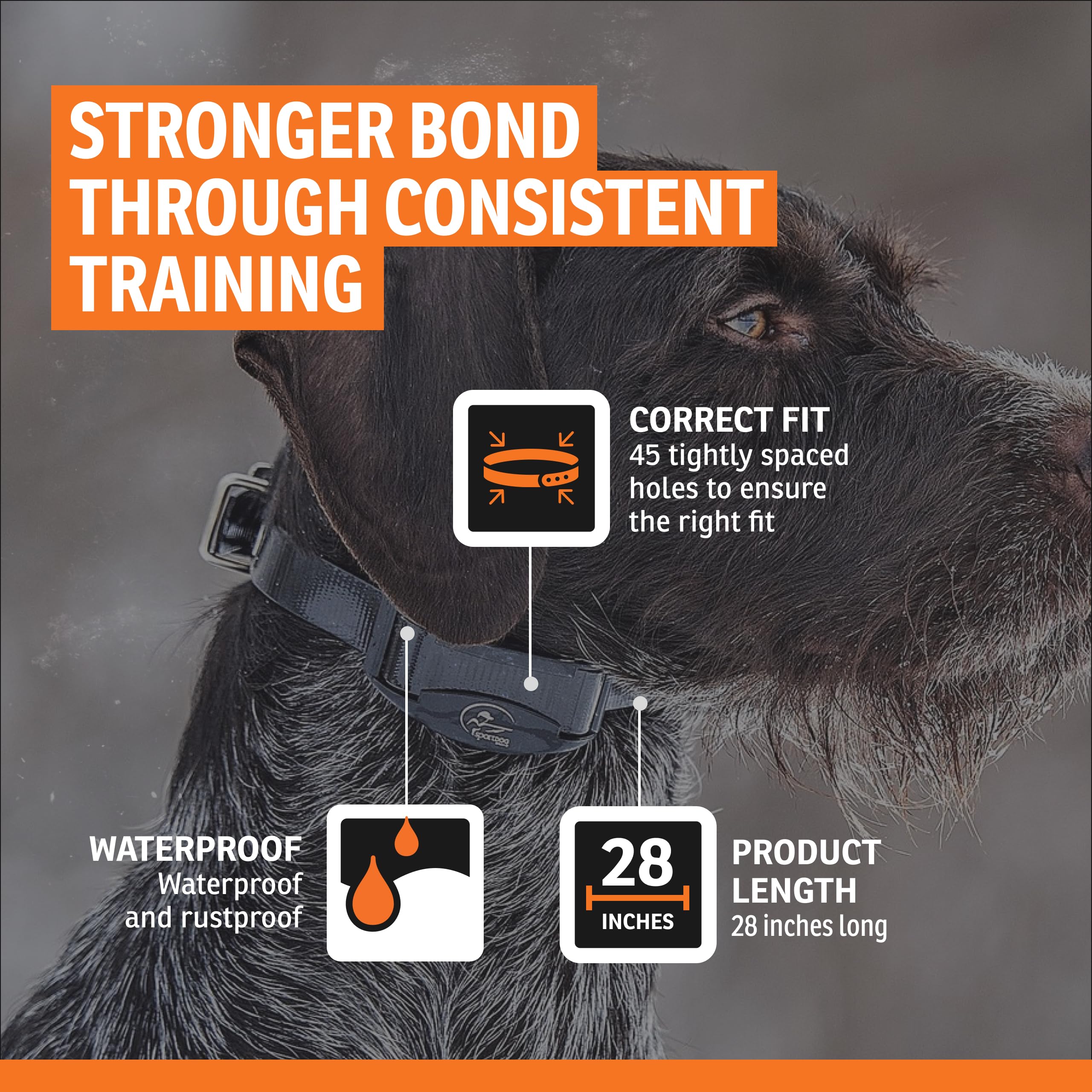 SportDOG collar strap color variants help color-code dogs.