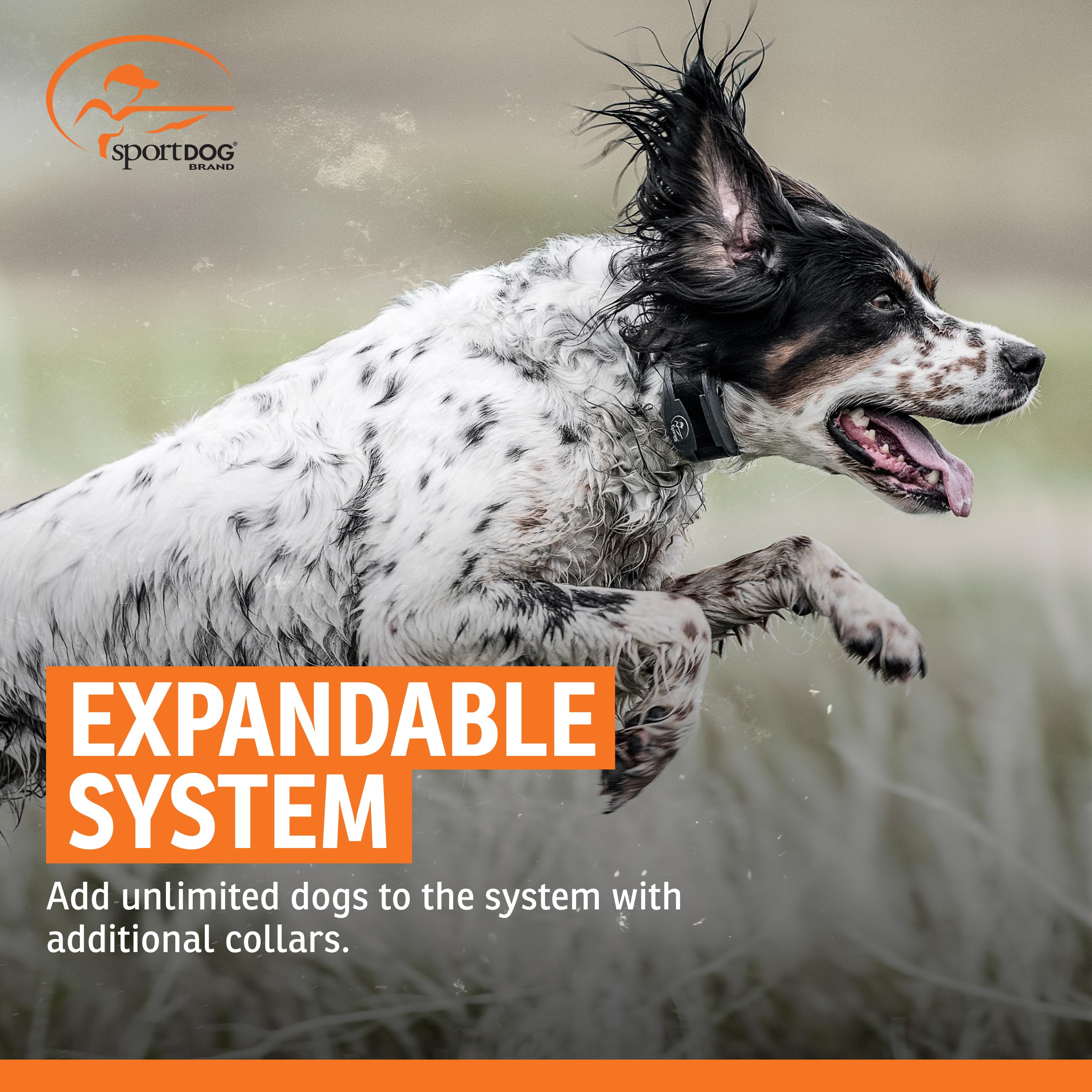 SportDOG multi-dog expansion with extra collars for larger households.