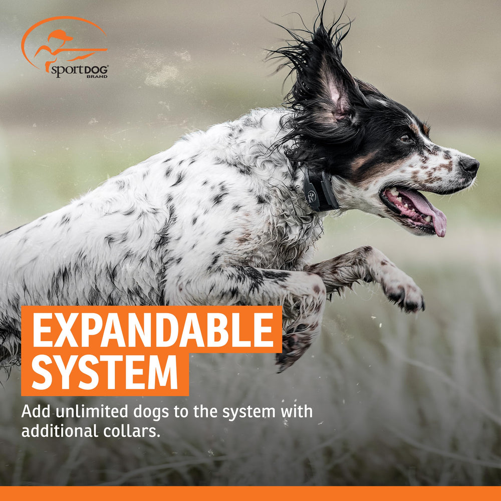SportDOG multi-dog expansion with extra collars for larger households.
