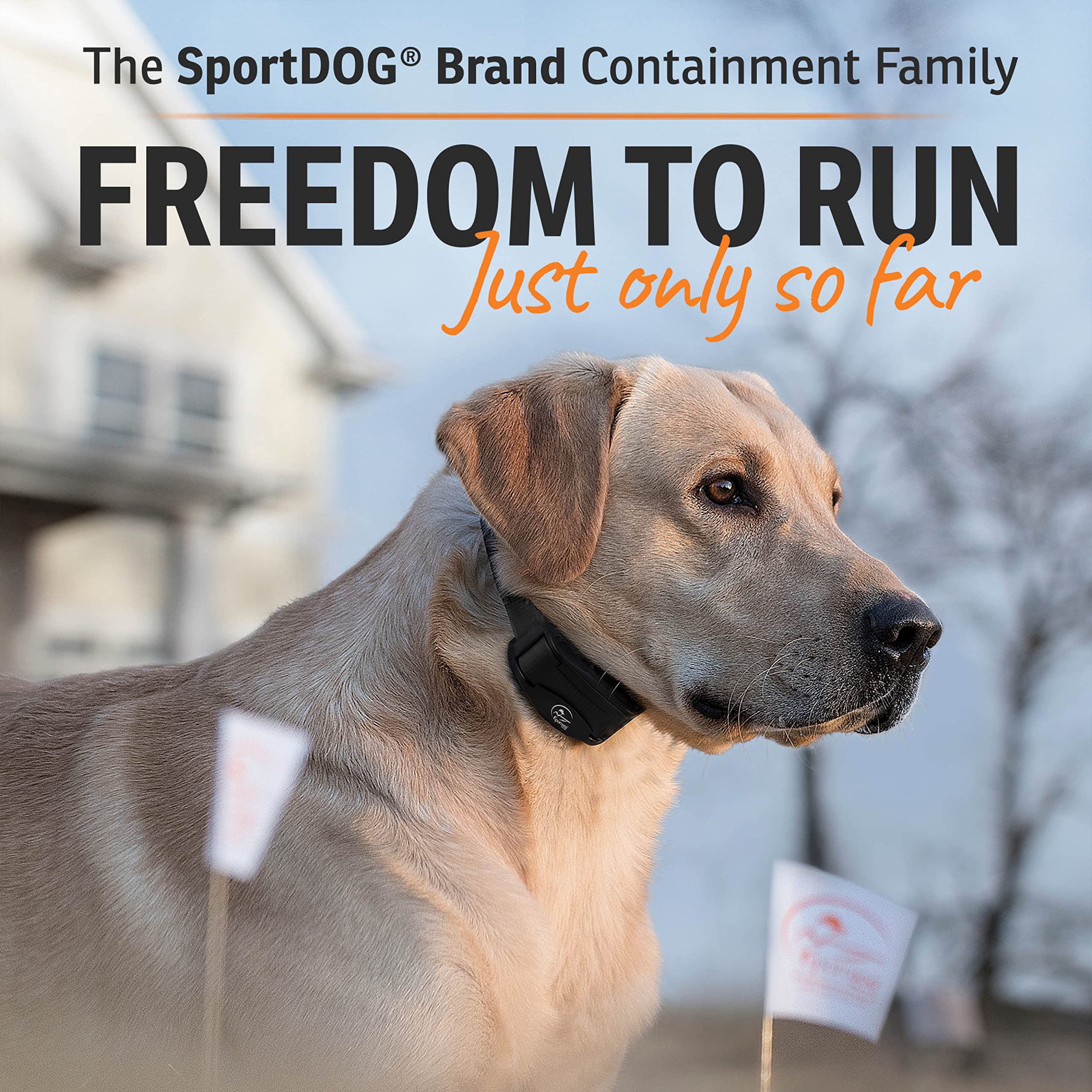 Tone, vibration, and seven static levels shown on SportDOG SDF-100C collar