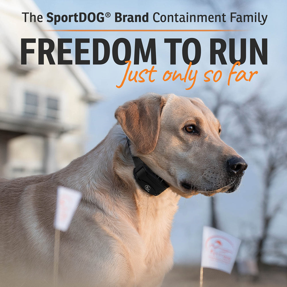 Tone, vibration, and seven static levels shown on SportDOG SDF-100C collar