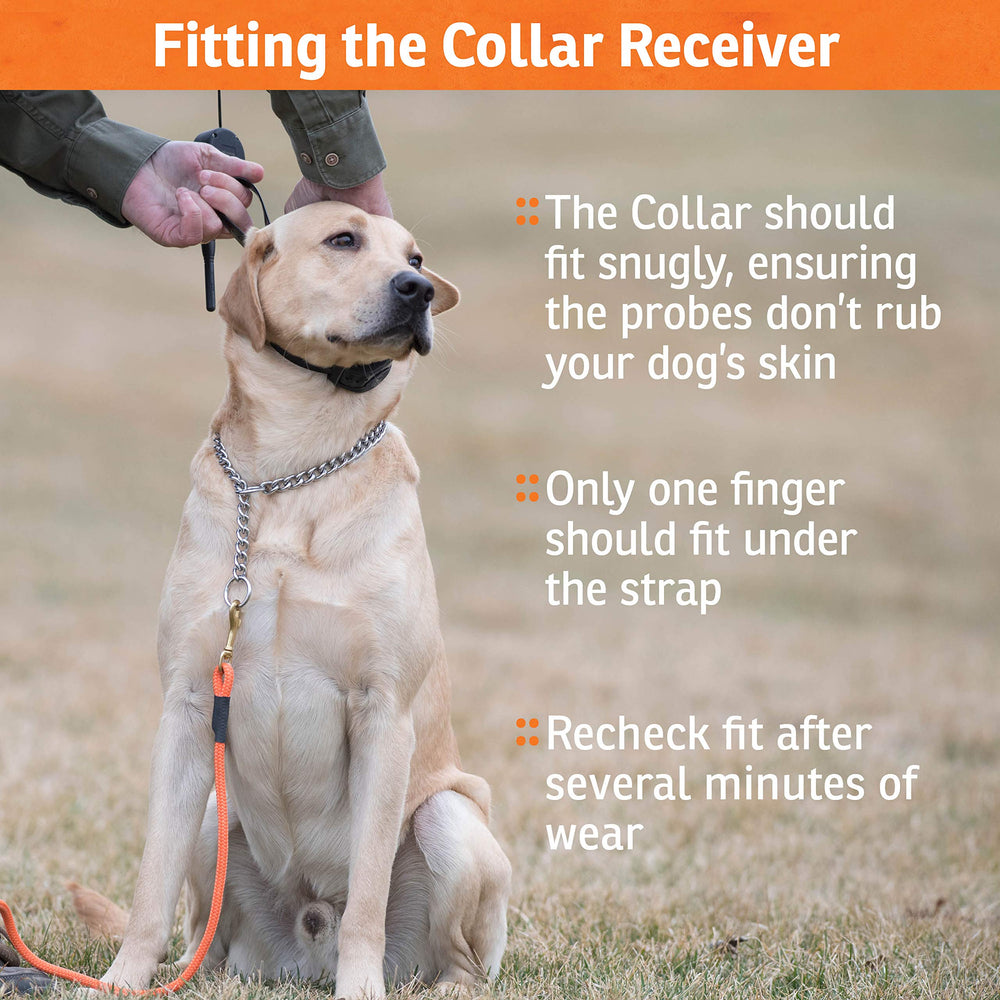 SportDOG two-year warranty and US-based support for peace of mind.
