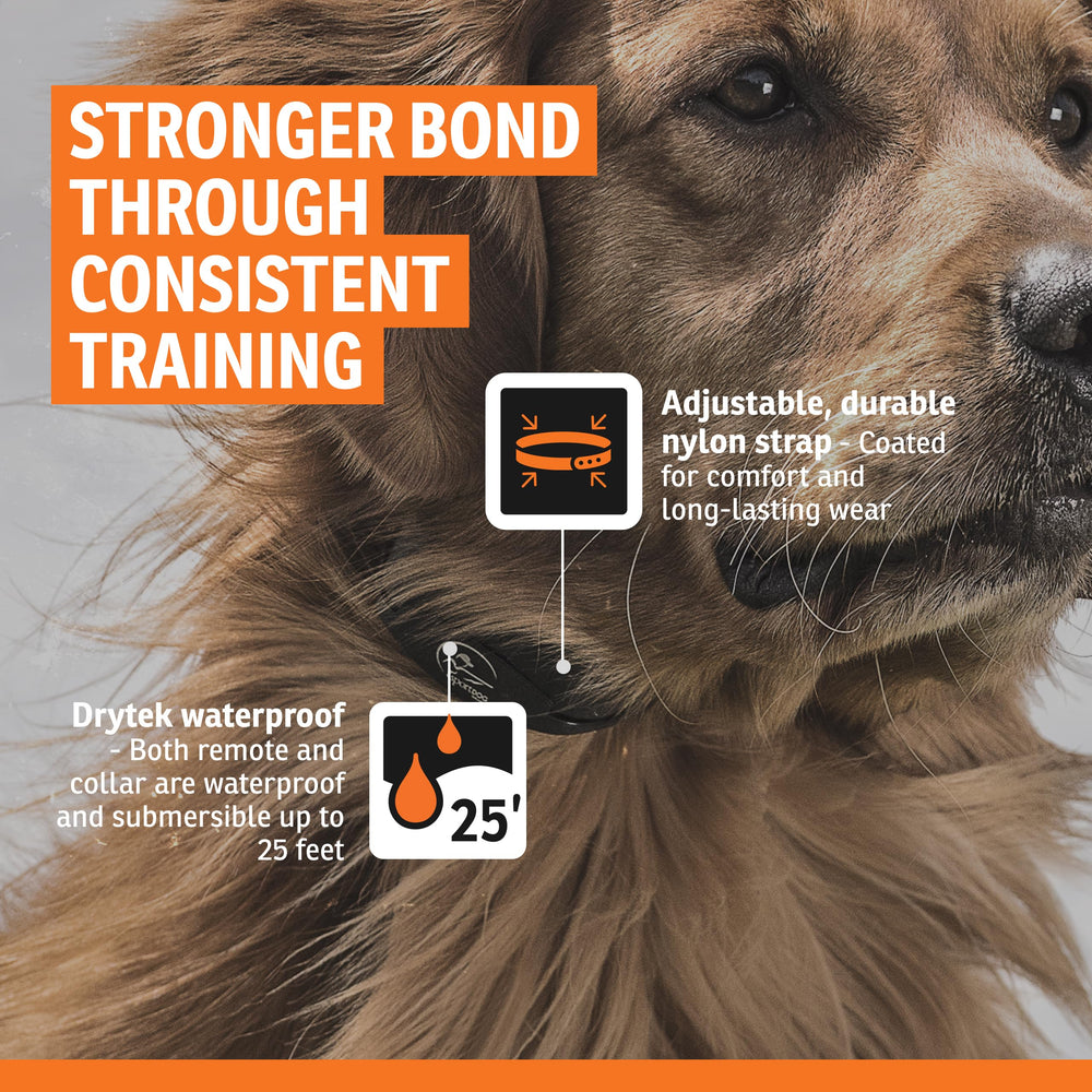 SportDOG waterproof collar submersible up to 25 feet in all conditions.