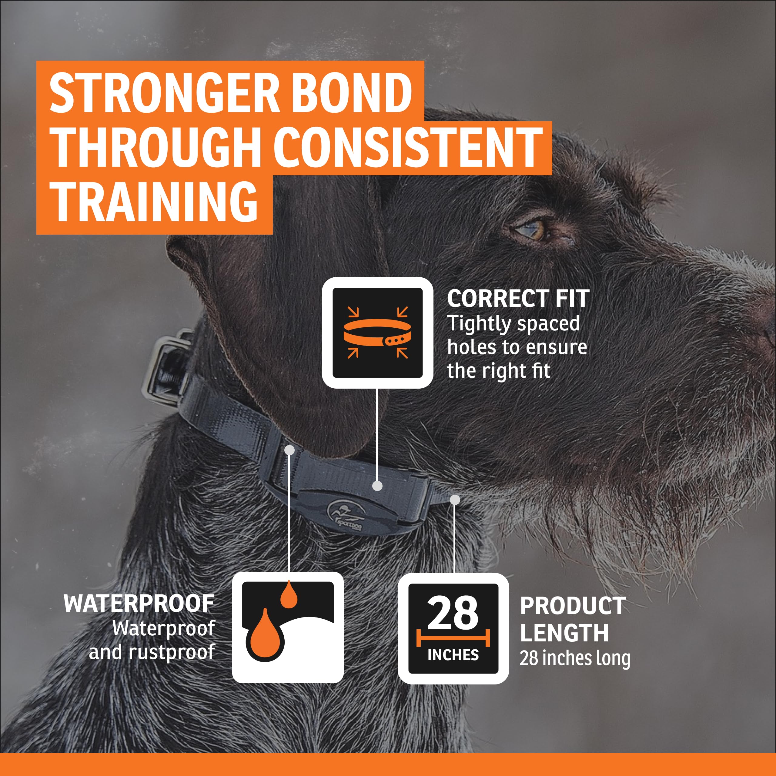 SportDOG camouflage waterproof collar strap ideal for dense cover and water work.
