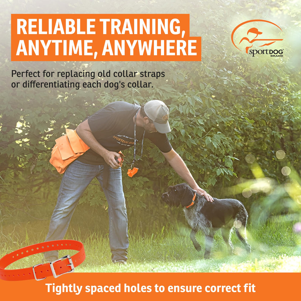 SportDOG orange strap close-up showing metal roller buckle for a secure fit.